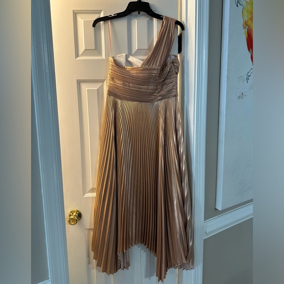 A.L.C. Rose Gold Aurora Pleated One Shoulder Midi Dress - Picture 8 of 13